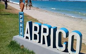 Verde Mar Abricó 2